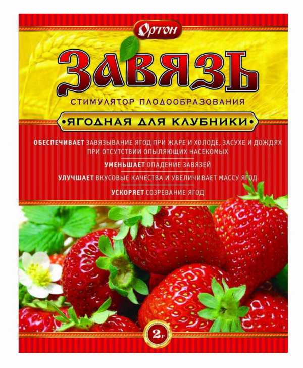 Стимулятор ЗАВЯЗЬ ЯГОДНАЯ