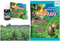 Средство от колорад. жука и тли Корадо амп. 25мл